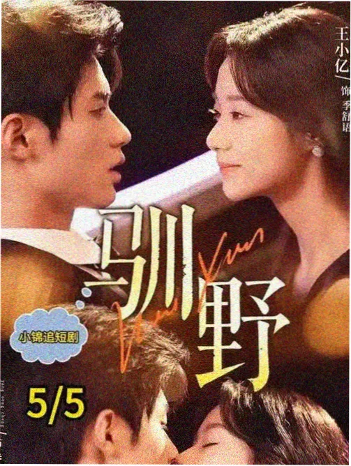 第四色电影网剧集类标本图鉴编号026配图